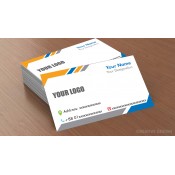 Business Card/ Visiting Card (2)